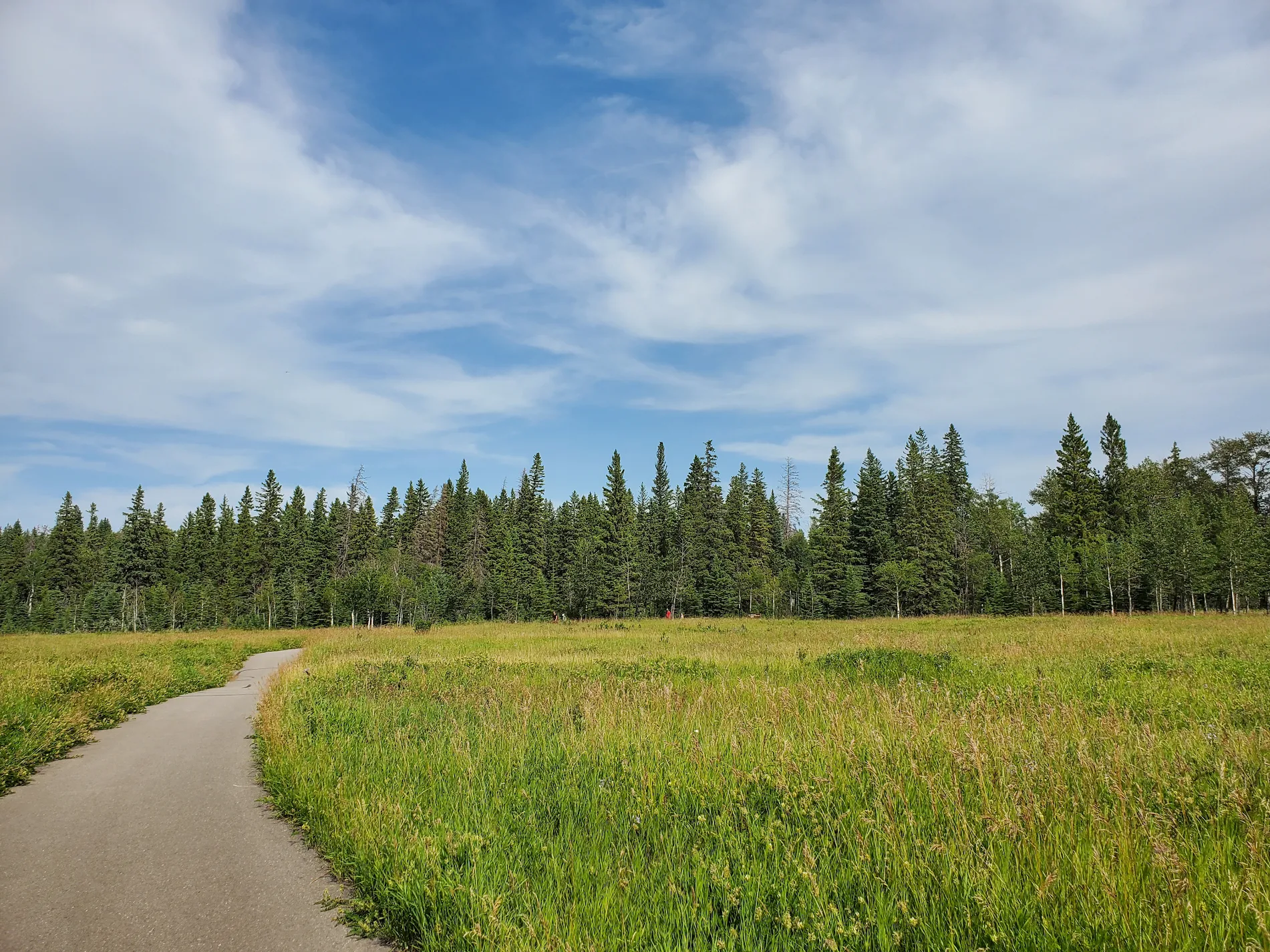 Clearview Meadows: A Family-Friendly Haven in Red Deer